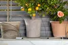 Gardena giardinaggio urbano - Kit di irrigazione per le Anteprima dell’immagine prodotto 11