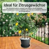 6X Blumentopf 34cm mit Untersetzer 30cm Pflanzkübel Grau Produktbild-Vorschau 5