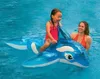 Reittier Kleiner Delfin 152cm mit Griff Produktbild-Vorschau 13