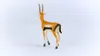 schleich WILD LIFE 14861, 3 Jahr(e), Braun, Weiß, Produktbild-Vorschau 3