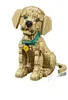 LEGO Icons Cucciolo Di Golden Retriever 11384 Voir les images du produit 37