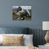 MuchoWow® Poster Ein europäischer Seeadler versucht, Beute Produktbild-Vorschau 4