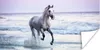 MuchoWow® Poster Pferd - Meer - Pastell 40x20 cm - Poster Produktbild-Vorschau 1