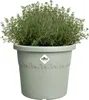 Elho Blumentopf Kunststoff grün Ø 25 cm Algarve Cilindro Produktbild-Vorschau 2