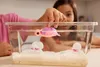 Zuru Pets Alive - Želví máma a mládě překvapení Náhled obrázku produktu 12