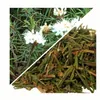 Herbs from Poland Sumpfporst – Beruhigend, schleimlösend, Produktbild-Vorschau 2
