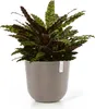 Ecopots Oslo, Grau, Kunststoff, 45 cm, 392 mm, 4,6 kg, 1 Produktbild-Vorschau 2