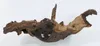 Mopani Wurzel Größe "Nano" 4cm - 10cm / Aquarium Holz Produktbild-Vorschau 6