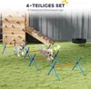 PawHut Agility Set pre psov – 4-dielna agility výbava s Náhľad obrázku produktu 4