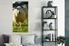 MuchoWow® Poster Schafe - Tiere - Wolle 60x120 cm - Produktbild-Vorschau 4