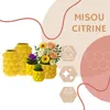 MISOU Zitronenvase – 5 Arten Blumentopf mit Zitronen – Produktbild-Vorschau 12