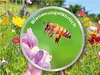Rasen- und Gartenkalk "Natura ", für 200m² Produktbild-Vorschau 3
