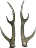Trophäe Tischdeko Hirschgeweih silber 37x13x12cm 2erSet Produktbild-Vorschau 1