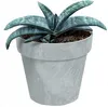 Květináč CUBE BETON EFFECT 14 cm - barva: šedá Náhled obrázku produktu 4
