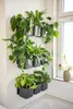 LECHUZA Green Wall Home Kit Glossy, Sadzarka w doniczce, Do Podgląd zdjęcia produktu 11