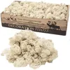 Dekorationsmaterial Islandmoos Natur 500g, 19 cm Breite, Produktbild-Vorschau 1
