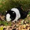 Meerschweinchen Animigos Kuscheltier in schwarz-weiß Produktbild-Vorschau 5