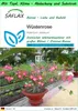 SAFLAX Garden to go - Wüstenrose - Adenium obesum - 8 Samen Produktbild-Vorschau 1