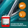 INOX® Insect Clean Insektenreiniger, 4x 5L - Produktbild-Vorschau 3