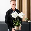 Kolibri Orchids COMBI DEAL von 2 weißen Produktbild-Vorschau 3
