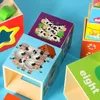 Dřevěná vzdělávací věž, tvarový třídič, učení počítání 71 Náhled obrázku produktu 3