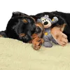 KONG Katzenspielzeug KONG Wild Knots Bears XS Produktbild-Vorschau 3