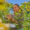 Gardena Gartenschere PremiumCut Flex Produktbild-Vorschau 6