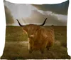 MuchoWow® Outdoor Kissen - Schottisches Hochlandrind - Produktbild-Vorschau 1