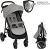 Graco Buggy & Sportwagen Eezefold DLX Produktbild-Vorschau 1