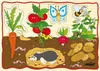 Woody Puzzle an Bord Kinderthemen 12 Teile 102190252 Produktbild-Vorschau 9
