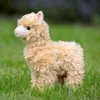 Peluche Llama Animigos Anteprima dell’immagine prodotto 1