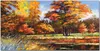 Coloray - Bild aus Glas - Glasbilder - 100 x 50 cm - Produktbild-Vorschau 1