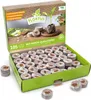 Kokos Quelltöpfe 36 mm |  Kokos Quelltöpfe von FLORTUS, Produktbild-Vorschau 1