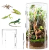 360° Cilindrisch terrarium, vivarium, acryl terrarium, Productafbeelding-voorbeeld 3