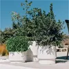 Three white planters with lush green plants are arranged on a light-colored surface, with a bright blue sky in the background. Produktbild-Vorschau
