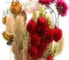 Dehner Blumenstrauß aus Trockenblumen, Blumen-Bouquet Luna Produktbild-Vorschau 3