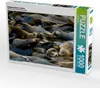 Calvendo Robbenkolonie Astoria 1000 Teile Puzzle quer Produktbild-Vorschau 1