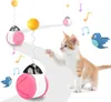 Katzenspielzeug, Selbstbeschäftigung, Katzen-Teaser, Produktbild-Vorschau 1