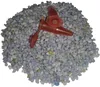 100 Globulibehälter HOMÖOPATHIE 1,5 ml rot Reaktionsgefäß Produktbild-Vorschau 1