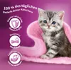 WHISKAS Junior Poultry in jelly - nassfutter für Katzen - Produktbild-Vorschau 4