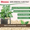 Blusana Bims Pflanzsubstrat 35 Liter Kombi-Gebinde grobe Produktbild-Vorschau 4