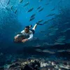 Spinera Underwater Powerfin & Podvodný skúter Potápačský Náhľad obrázku produktu 13