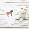 Mr. & Mrs. Panda Strampler Baby Hund Dogge 12. - 18. Monat Produktbild-Vorschau 4