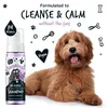 Bugalugs Trockenshampoo Hundeshampoo ohne Wasser 200ml Produktbild-Vorschau 4