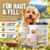 REAVET Bierhefe Pulver für Hunde & Katzen 250g – Reines Produktbild-Vorschau 2