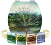 CORNAT Hologramm WC-Sitz -4 Seasons, KSDSC311 Produktbild-Vorschau 4