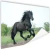 MuchoWow® Poster Pferd - Schwarz - Natur 120x90 cm - Produktbild-Vorschau 1
