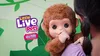 Little Live Pets - La mia scimmietta Mango Anteprima dell’immagine prodotto 5