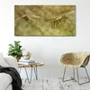 Coloray Acrylbild 100x50  Wandbild Acrylbilder Deko Produktbild-Vorschau 4