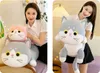 Katze Kätzchen 100 cm Plüschtier Maskottchen Kuscheltier Produktbild-Vorschau 4